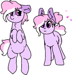 Size: 571x594 | Tagged: safe, artist:nootaz, oc, oc only, oc:flashdance, pony, blushing, chest fluff, chubby, heart eyes, reference sheet, simple background, solo, transparent background, wingding eyes