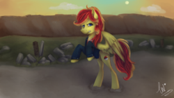Size: 1920x1080 | Tagged: safe, artist:lav-cavalerie, oc, oc only, oc:jessica pedley, pegasus, pony, clothes, female, jacket, mare, solo