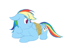 Size: 1240x877 | Tagged: safe, artist:alixnight, rainbow dash, pegasus, pony, fall weather friends, g4, female, inkscape, rope, simple background, solo, tied up, vector, white background