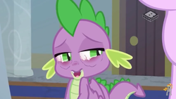 Size: 1280x720 | Tagged: safe, screencap, spike, starlight glimmer, dragon, a matter of principals, g4, my little pony: friendship is magic, season 8, bloodshot eyes, boomerang (tv channel), male, male focus, open mouth, solo focus, winged spike, wings