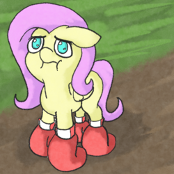 Size: 400x400 | Tagged: source needed, safe, artist:happy harvey, fluttershy, pegasus, pony, g4, :i, :t, boxing gloves, cute, dirt, female, floppy ears, frown, grass, looking at you, looking up, no pupils, phone drawing, ponified animal photo, puffy cheeks, sad, sadorable, shyabetes, solo, wat