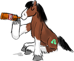 Size: 449x371 | Tagged: safe, artist:horsesplease, trouble shoes, clydesdale, earth pony, horse, pony, g4, alcohol, beer, bottle, budweiser, budweiser clydesdales, drinking, drunk, drunken shoes, hoof hold, male, paint tool sai, simple background, solo, unshorn fetlocks, white background