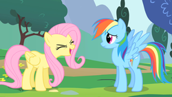 Size: 1280x720 | Tagged: safe, screencap, fluttershy, rainbow dash, pegasus, pony, g4, season 1, sonic rainboom (episode), bush, cute, female, flutteryay, grass, mare, shyabetes, tree, yay