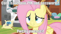 Size: 600x337 | Tagged: safe, edit, edited screencap, screencap, fluttershy, butterfly, fluttershy leans in, g4, animated, baby talk, begging, cute, daaaaaaaaaaaw, female, floppy ears, gif, hnnng, image macro, meme, pretty please, puppy dog eyes, pure unfiltered evil, shyabetes, smiling, this will end in identity theft, totally innocent, weapons-grade cute