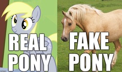 Size: 1058x626 | Tagged: safe, editor:useraccount, screencap, derpy hooves, g4, blatant lies, fake pony, image macro, irl, irl horse, irl pony, meme, photo, real pony