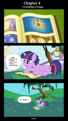 Size: 2185x3881 | Tagged: safe, artist:darkstorm mlp, twilight sparkle, pony, unicorn, comic:friendship is magic 63, friendship is magic, g4, book, comic, dialogue, dusk shine, elements of harmony, high res, rule 63, scene interpretation