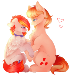 Size: 2623x2807 | Tagged: safe, artist:twinkepaint, oc, oc only, oc:arian blaze, oc:vital sparkle, collar, comforting, crying, heart, high res, holding hooves, sad, simple background, transparent background