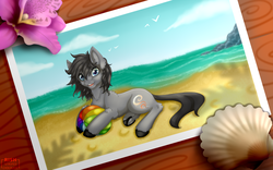 Size: 1920x1200 | Tagged: safe, artist:striped-chocolate, oc, oc only, pony, rcf community, beach, beach ball, flower, male, photography, shell, ych result