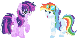 Size: 806x395 | Tagged: safe, artist:bezziie, rainbow dash, twilight sparkle, earth pony, pegasus, pony, g4, alternate design, braid, earth pony rainbow dash, g5 concept leak style, g5 concept leaks, glasses, goggles, pegasus twilight sparkle, rainbow dash (g5 concept leak), simple background, transparent background, twilight sparkle (g5 concept leak)