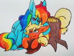 Size: 2911x2214 | Tagged: safe, artist:paula-li, applejack, rainbow dash, earth pony, pegasus, pony, fanfic:stuck, g4, applejack's hat, buttstuck, clopfic, cowboy hat, eyes closed, fanfic, fanfic art, female, hat, hat off, high res, hug, lesbian, mare, one eye closed, ship:appledash, shipping, stuck, traditional art, tree stump