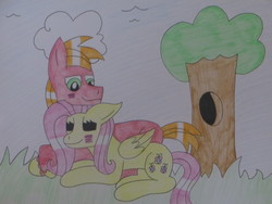 Size: 4000x3000 | Tagged: safe, artist:sheaisawesome666, big macintosh, fluttershy, g4, blushing, cloud, cuddling, female, male, ship:fluttermac, shipping, straight, traditional art, tree