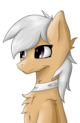 Size: 722x1107 | Tagged: safe, artist:drarkusss0, oc, oc only, oc:katharina märz, earth pony, pony, chest fluff, collar, simple background, smiling, solo, transparent background
