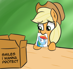 Size: 1736x1637 | Tagged: safe, artist:artiks, applejack, rainbow dash, earth pony, pony, g4, box, cute, female, lesbian, mare, meme, mouth hold, paper, ship:appledash, shipping, smiles i wanna protect, solo, table