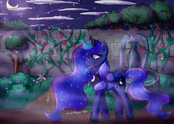 Size: 3500x2500 | Tagged: safe, artist:mylittleyuri, princess luna, pony, g4, candy, cute, digital art, female, food, garden, high res, lollipop, moon, night, solo, walking