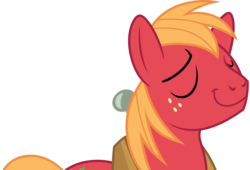 Size: 5000x3409 | Tagged: safe, artist:dashiesparkle, big macintosh, earth pony, pony, g4, .svg available, male, simple background, solo, transparent background, vector