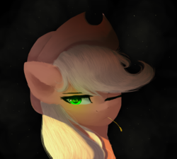 Size: 2000x1800 | Tagged: safe, artist:thenightdarksecret, applejack, earth pony, pony, g4, bust, female, hat, solo