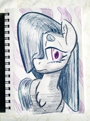 Size: 2398x3198 | Tagged: safe, artist:shoeunit, marble pie, earth pony, pony, g4, colored pencil drawing, female, high res, mare, sketchbook, solo, traditional art