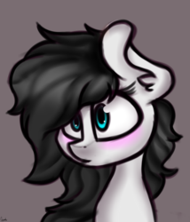 Size: 3000x3500 | Tagged: safe, artist:claudearts, oc, oc only, oc:frostie, pony, blushing, high res, signature, solo
