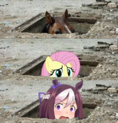 Size: 484x507 | Tagged: safe, edit, fluttershy, horse, pegasus, pony, g4, manhole, marehole, special week, uma musume pretty derby