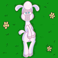 Size: 576x576 | Tagged: safe, artist:pembroke, pom (tfh), lamb, sheep, them's fightin' herds, cloven hooves, community related, female, lidded eyes, looking at you, lying down, missing accessory, on back, sleepy, solo