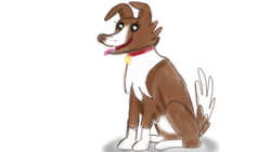 Size: 1280x720 | Tagged: safe, artist:jbond, winona, dog, g4, female, pet, simple background, solo, white background