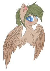 Size: 574x812 | Tagged: safe, artist:electricaldragon, oc, oc only, oc:chris, pegasus, pony, bust, male, portrait, simple background, solo, stallion, transparent background