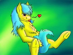 Size: 1600x1200 | Tagged: safe, oc, oc:golden rule, blue mane, blushing, colored, cute, heart, on back, red eyes, shading, spread legs, spreading, tongue out, yellow fur