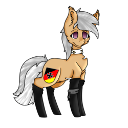 Size: 1000x1000 | Tagged: safe, artist:diane-thorough, oc, oc only, oc:katharina märz, pony, clothes, collar, ear fluff, simple background, socks, solo, transparent background