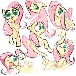 Size: 1000x1000 | Tagged: safe, artist:glacierclear, fluttershy, pegasus, pony, g4, bust, expressions, female, mare, raised hoof, simple background, sketch, sketch dump, solo, white background