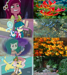 Size: 2560x2878 | Tagged: safe, screencap, gloriosa daisy, juniper montage, vignette valencia, wallflower blush, equestria girls, equestria girls specials, g4, my little pony equestria girls: better together, my little pony equestria girls: forgotten friendship, my little pony equestria girls: legend of everfree, my little pony equestria girls: mirror magic, my little pony equestria girls: rollercoaster of friendship, antagonist, discovery family logo, equestria's plant girls, erysimum cheiri, evil grin, flower, garden, glorious flower (plant), grin, high res, juniper tree, magic mirror, memory stone, name, namesake, nature, plants, pun, similarities, smiling, villainess, visual pun, wallflower, wallflower and plants, wallflower is a plant