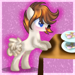 Size: 2000x2000 | Tagged: safe, artist:macaroonburst, oc, oc only, oc:pyka, earth pony, pony, dish, food, high res, male, solo, stallion