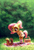 Size: 1535x2244 | Tagged: dead source, safe, artist:holivi, fluttershy, pegasus, squirrel, anthro, plantigrade anthro, g4, basket, blanket, clothes, cottagecore, cute, daaaaaaaaaaaw, female, filly, filly fluttershy, foal, grass, hands on knees, holivi is trying to murder us, looking at each other, miniskirt, outdoors, picnic blanket, ponytail, shoes, shyabetes, skirt, socks, solo, tree, younger