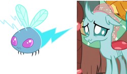 Size: 1290x758 | Tagged: safe, ocellus, smolder, yona, changeling, twittermite, bloom & gloom, g4, school daze, comparison, cute, diaocelles, puppy dog eyes, scrunchy face