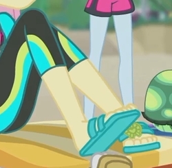 Size: 2100x2057 | Tagged: safe, screencap, fluttershy, rainbow dash, tank, aww... baby turtles, equestria girls, g4, my little pony equestria girls: better together, clothes, cropped, feet, flip-flops, fluttershy's wetsuit, high res, legs, pictures of legs, sandals, swimsuit, wetsuit