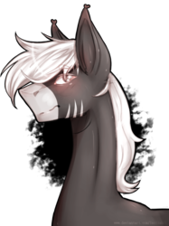 Size: 2142x2866 | Tagged: safe, artist:lastaimin, oc, oc only, pony, bust, high res, male, portrait, simple background, solo, stallion, transparent background