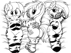 Size: 3000x2237 | Tagged: safe, artist:an-tonio, oc, oc:florida, oc:trinidad, oc:zula, zebra, :o, bedroom eyes, belly button, butt, female, high res, looking at you, monochrome, open mouth, plot, smiling, striped-teasers, tail, tail aside, tail wrap, tongue out, trio, zebra oc