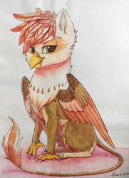 Size: 1600x2213 | Tagged: safe, artist:penny-wren, oc, oc only, oc:ember burd, griffon, eared griffon, griffon oc, simple background, sitting, solo, traditional art, watercolor painting, white background