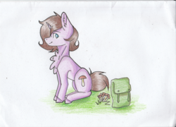 Size: 2048x1471 | Tagged: safe, artist:paigaakaambris, oc, oc only, oc:gubrys, pony, unicorn, backpack, blue eyes, brown hair, grass, looking back, shrooms, simple background, sitting, smiling
