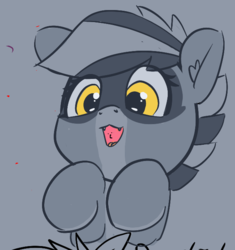 Size: 727x773 | Tagged: safe, artist:pabbley, oc, oc only, oc:bandy cyoot, original species, raccoon pony, female, gray background, open mouth, simple background, solo