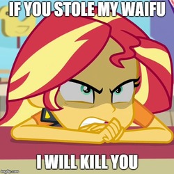 Size: 500x500 | Tagged: safe, edit, edited screencap, screencap, sunset shimmer, equestria girls, equestria girls specials, g4, my little pony equestria girls: better together, my little pony equestria girls: rollercoaster of friendship, angry, cropped, meme, reaction image, waifu, waifu thief