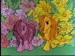 Size: 352x264 | Tagged: safe, screencap, blossom, blue belle, butterscotch (g1), cotton candy (g1), minty (g1), snuzzle, earth pony, human, pony, g1, official, 1982, 80s, advertisement, animated, basket, bicycle, blossomdorable, bluebellebetes, bow, child, children, collection, comb, commercial, cottoncandybetes, cottonscotch, cute, duo, female, flower, g1 adorascotch, g1 mintabetes, garden, hasbro, heart, irl, irl human, lesbian, logo, love, mare, my little pony, my little pony logo, photo, ribbon, riding, shipping, smiling, snuzzlebetes, sound, tail, tail bow, target demographic, tied, toy, traditional animation, travelling, walking, webm, younger, youtube link