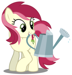 Size: 3840x4040 | Tagged: safe, artist:mundschenk85, roseluck, earth pony, pony, g4, female, high res, mare, mouth hold, show accurate, simple background, solo, transparent background, vector, watering can