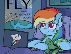 Size: 900x688 | Tagged: safe, artist:pink-pone, rainbow dash, tank, pegasus, pony, tortoise, g4, bed, computer, cute, eyes closed, female, laptop computer, mare, poster, smiling, wavy mouth, wonderbolts