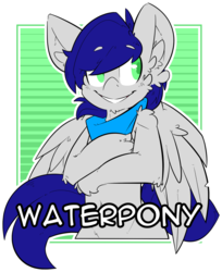 Size: 1280x1571 | Tagged: safe, artist:bbsartboutique, oc, oc only, oc:waterpony, pegasus, pony, badge, bandana, con badge, crossed arms, simple background, smiling, solo, transparent background