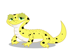 Size: 4546x3458 | Tagged: safe, artist:dragonchaser123, ray, gecko, leopard gecko, lizard, eqg summertime shorts, equestria girls, g4, pet project, animal, lidded eyes, looking at you, male, simple background, solo, transparent background, vector