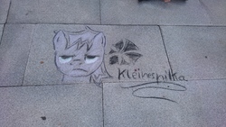 Size: 5984x3366 | Tagged: safe, artist:kleinespika, oc, oc:blizzard, galacon, galacon 2018, chalk, chalk drawing, traditional art