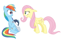 Size: 900x559 | Tagged: safe, artist:twilightsparklepower, fluttershy, rainbow dash, pegasus, pony, g4, hurricane fluttershy, cap, coach, coach rainbow dash, coaching cap, coaching whistle, duo, eye contact, female, hat, looking at each other, mare, peeved, rainbow dashs coaching whistle, simple background, transparent background, vector, whistle