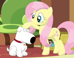 Size: 1013x789 | Tagged: safe, artist:porygon2z, fluttershy, g4, brian griffin, crossover, family guy, male