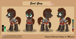 Size: 5400x2813 | Tagged: safe, artist:raspberrystudios, oc, oc only, oc:earl grey, armor, commission, reference sheet