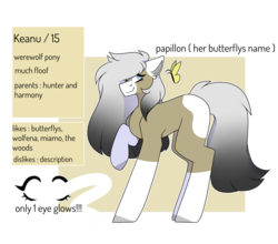 Size: 4088x3591 | Tagged: safe, artist:umiimou, oc, oc only, oc:keanu, butterfly, earth pony, pony, female, mare, reference sheet, simple background, solo, transparent background